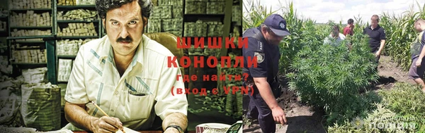 меф Белокуриха